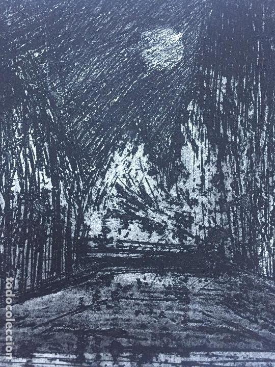 Arte: ANNA MIQUEL , SERIGRAFIA , 9/12 - Foto 4