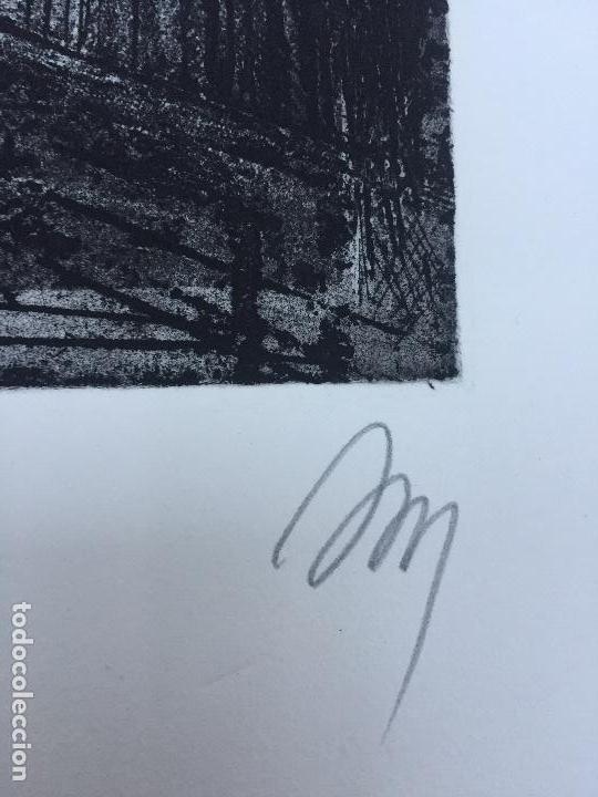 Arte: ANNA MIQUEL , SERIGRAFIA , 9/12 - Foto 5