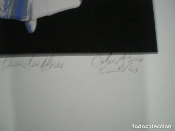 Arte: CELESTINO CUEVAS - Foto 3