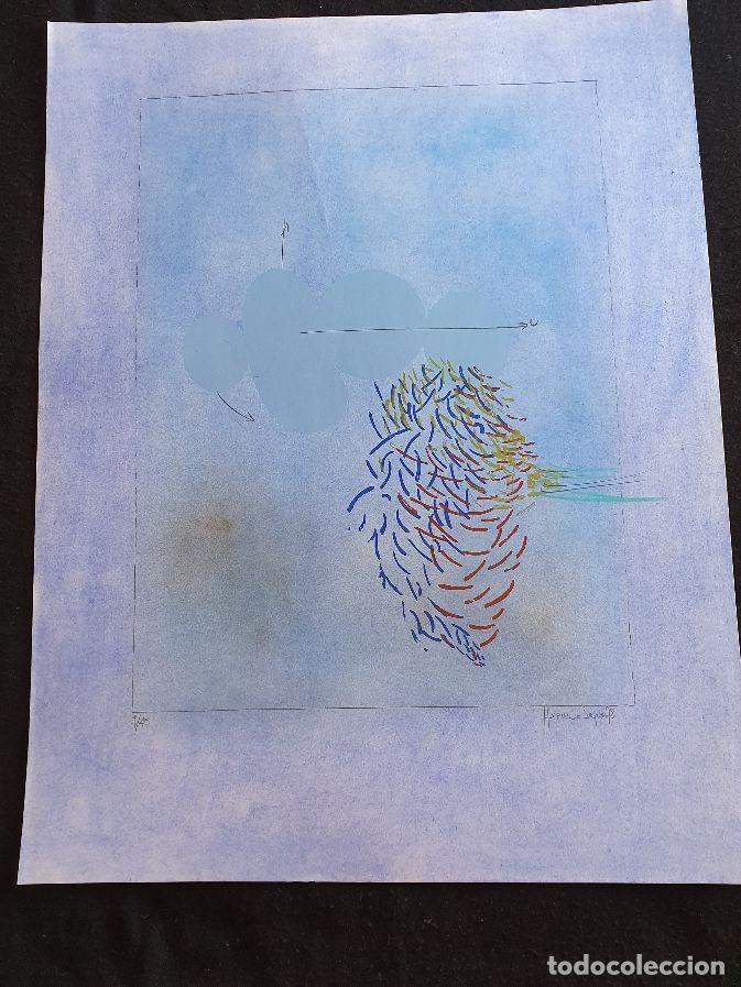 Arte: HORACIO SAPERE - Foto 1