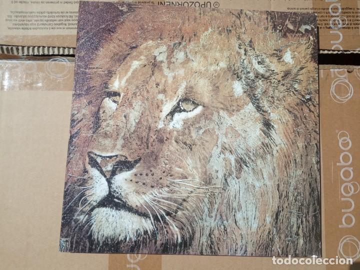 Arte: CUADRO DIBUJO LEON - Foto 2