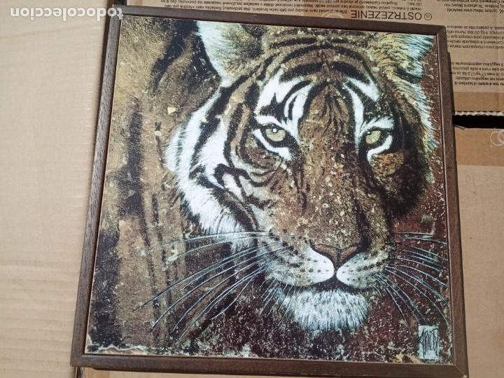 Arte: CUADRO DIBUJO TIGRE - Foto 2