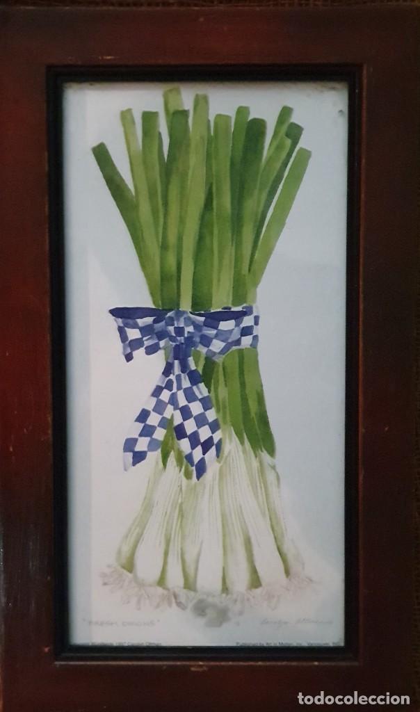 Arte: Cuadro de ajos tiernos (serigraf&iacute;a) - Foto 2
