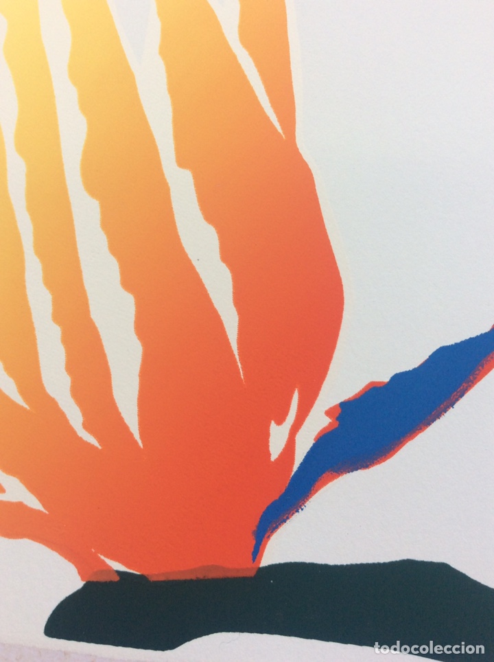 Arte: Serigraf&iacute;a firmada - Foto 3