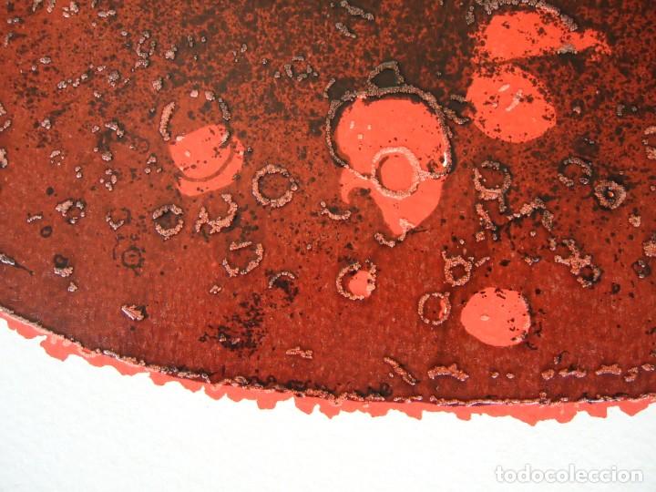 Arte: Serigrafia de PAUL VAN HOEYDONCK - Foto 6