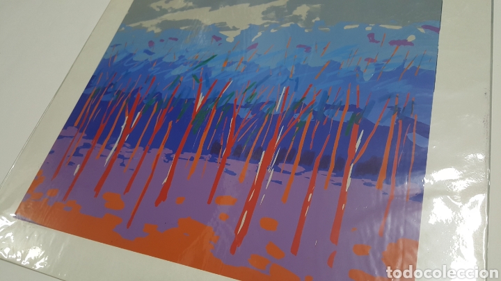 Arte: SERIGRAF&Iacute;A DE LITI &rdquo;OTO&Ntilde;O&rdquo; - Foto 1