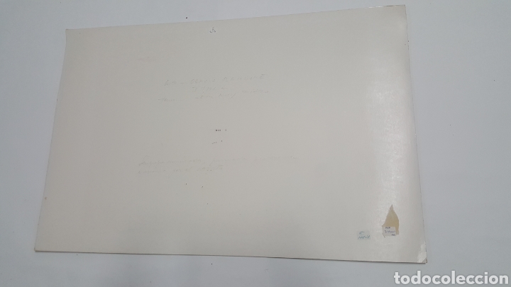 Arte: SERIGRAF&Iacute;A DE ORACIO BERMUDEZ &rdquo;LEON&rdquo; - Foto 5