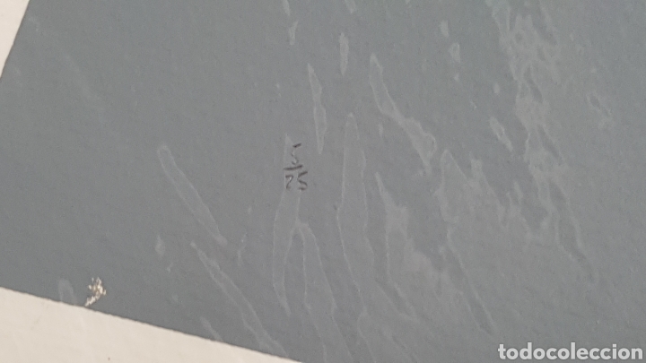Arte: SERIGRAF&Iacute;A DE MELIS &rdquo;935-4&rdquo; - Foto 3