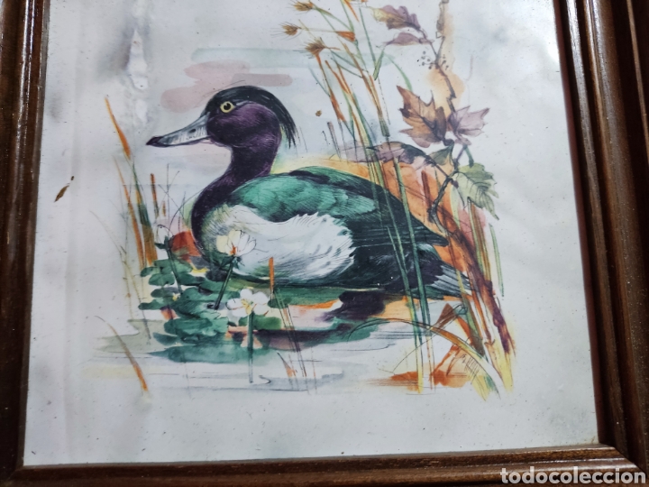 Arte: Cuadro azulejo cer&aacute;mica pato - Foto 3