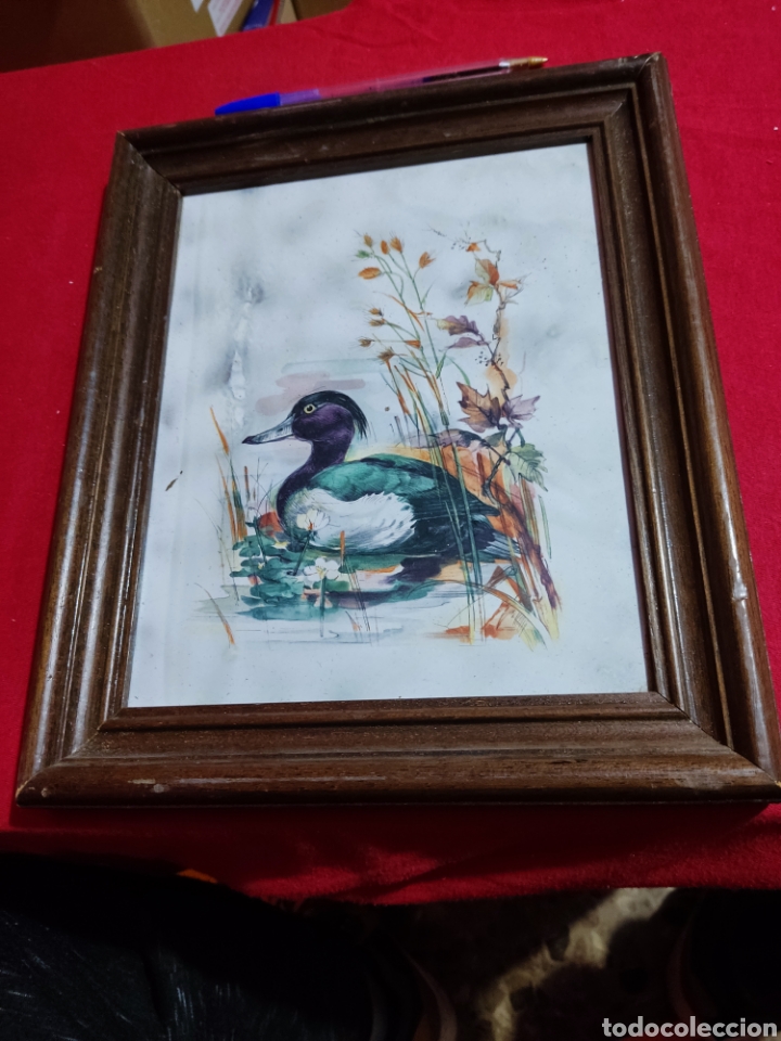 Arte: Cuadro azulejo cer&aacute;mica pato - Foto 1