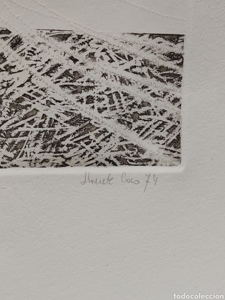 Arte: Serigraf&iacute;a Llorente coco firmada y numerada - Foto 3