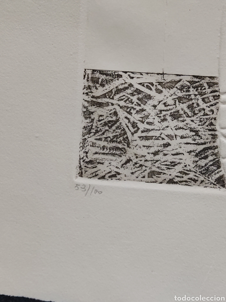 Arte: Serigraf&iacute;a Llorente coco firmada y numerada - Foto 4
