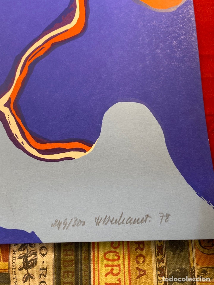 Arte: Serigraf&iacute;a firmada y numerada - Foto 3