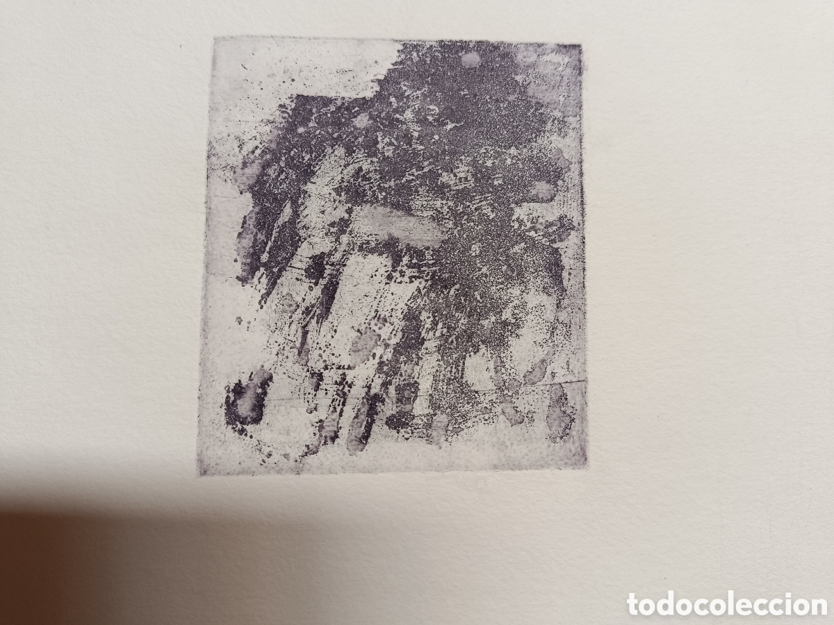 Arte: Serigrafia abstracta de Laura Guti&eacute;rrez - Foto 2