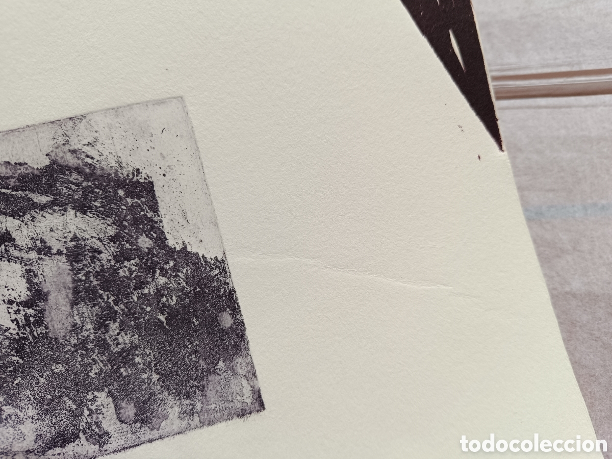 Arte: Serigrafia abstracta de Laura Guti&eacute;rrez - Foto 8