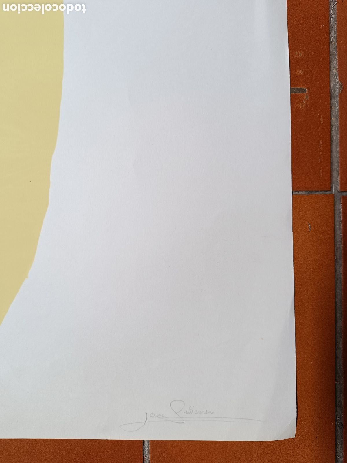 Arte: Serigrafia Cara de Laura Guti&eacute;rrez - Foto 6