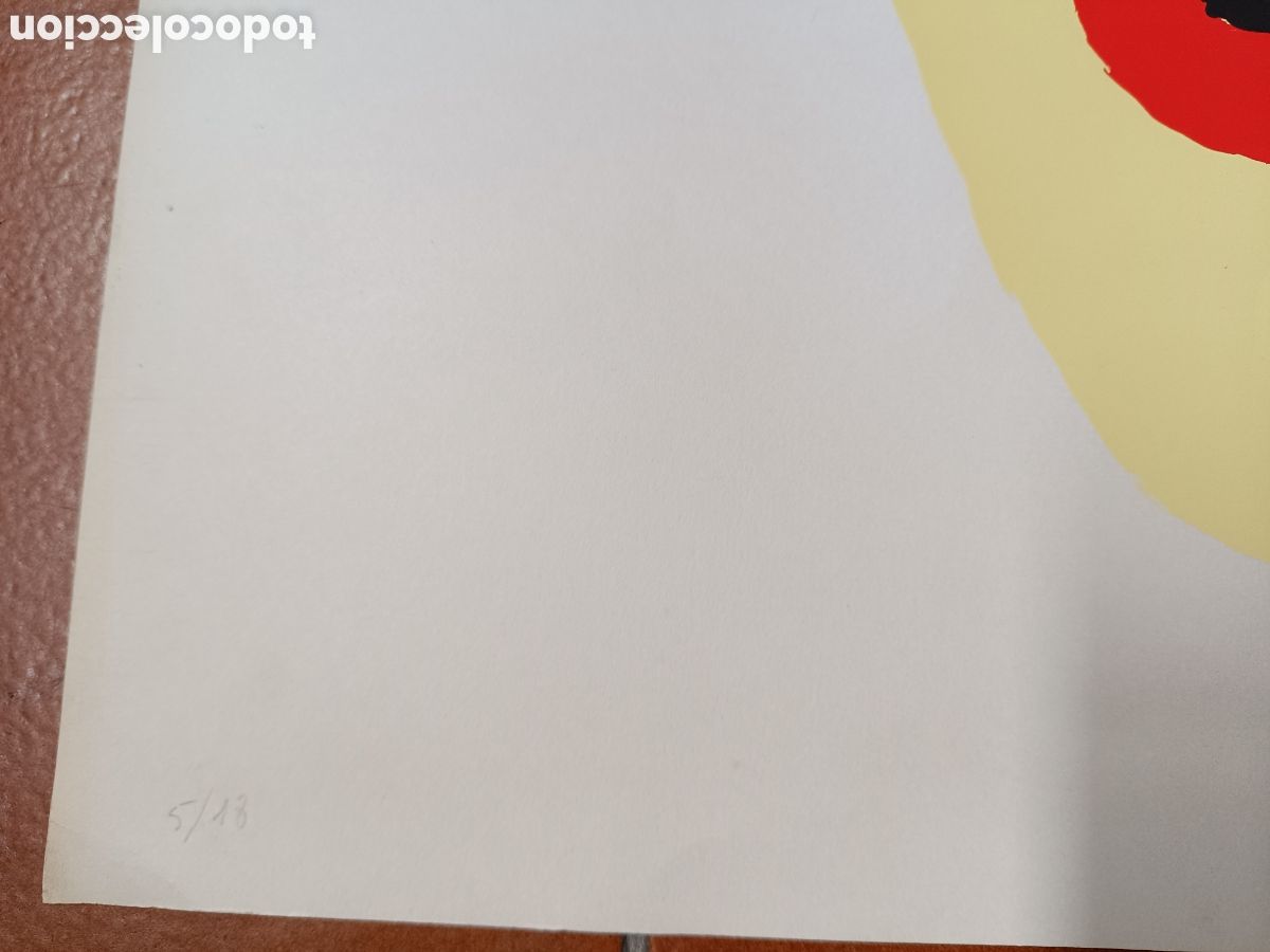 Arte: Serigrafia Cara de Laura Guti&eacute;rrez - Foto 7
