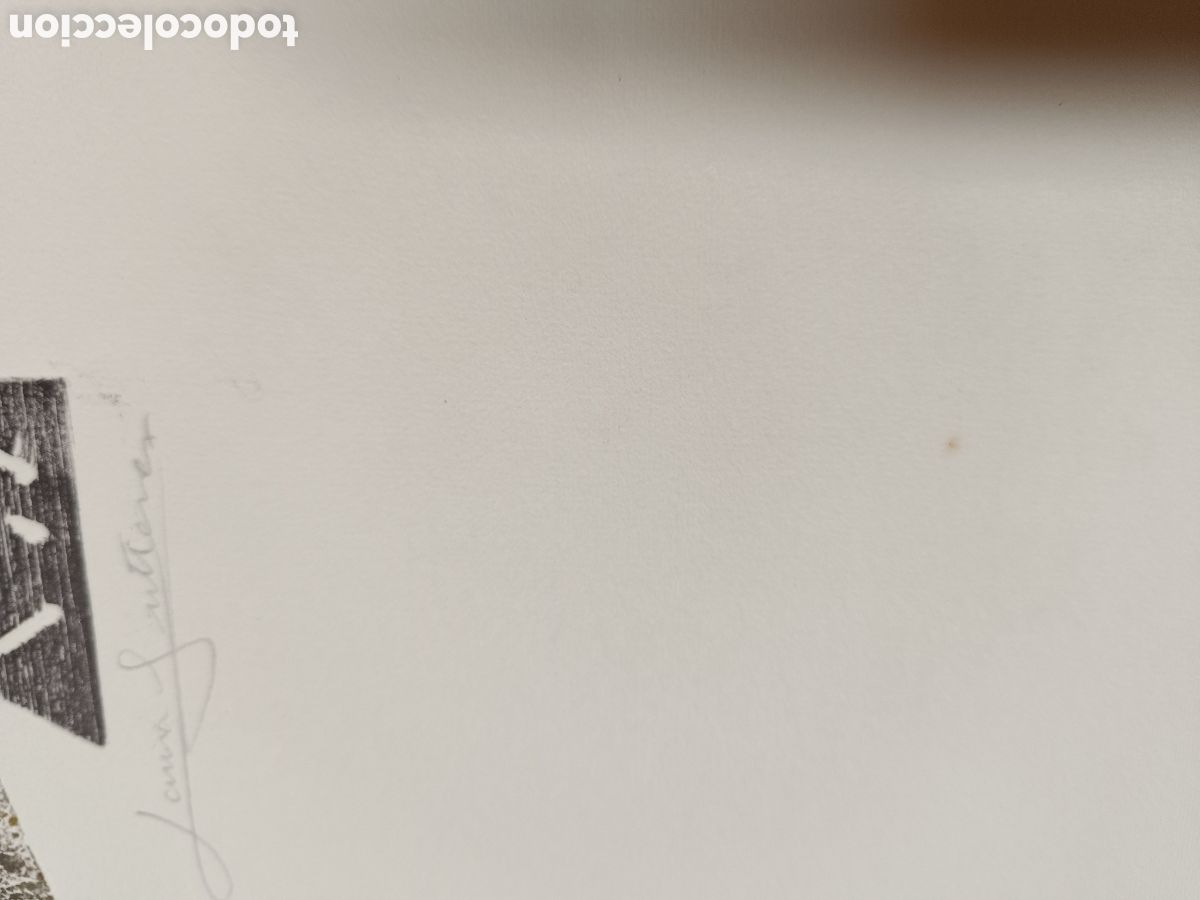 Arte: Serigrafia abstracta de Laura Guti&eacute;rrez - Foto 10
