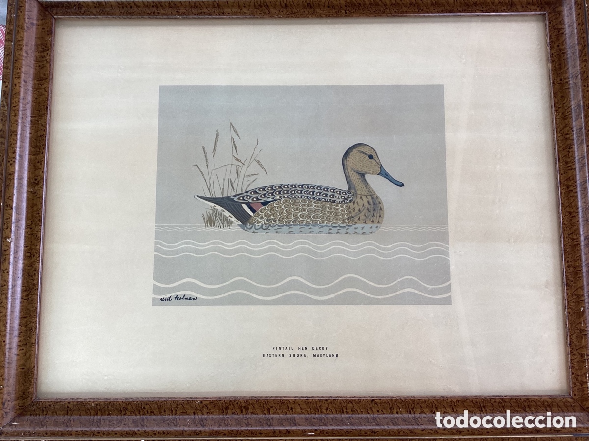 Arte: Re&iacute;d Kolman serigraf&iacute;a - Foto 2