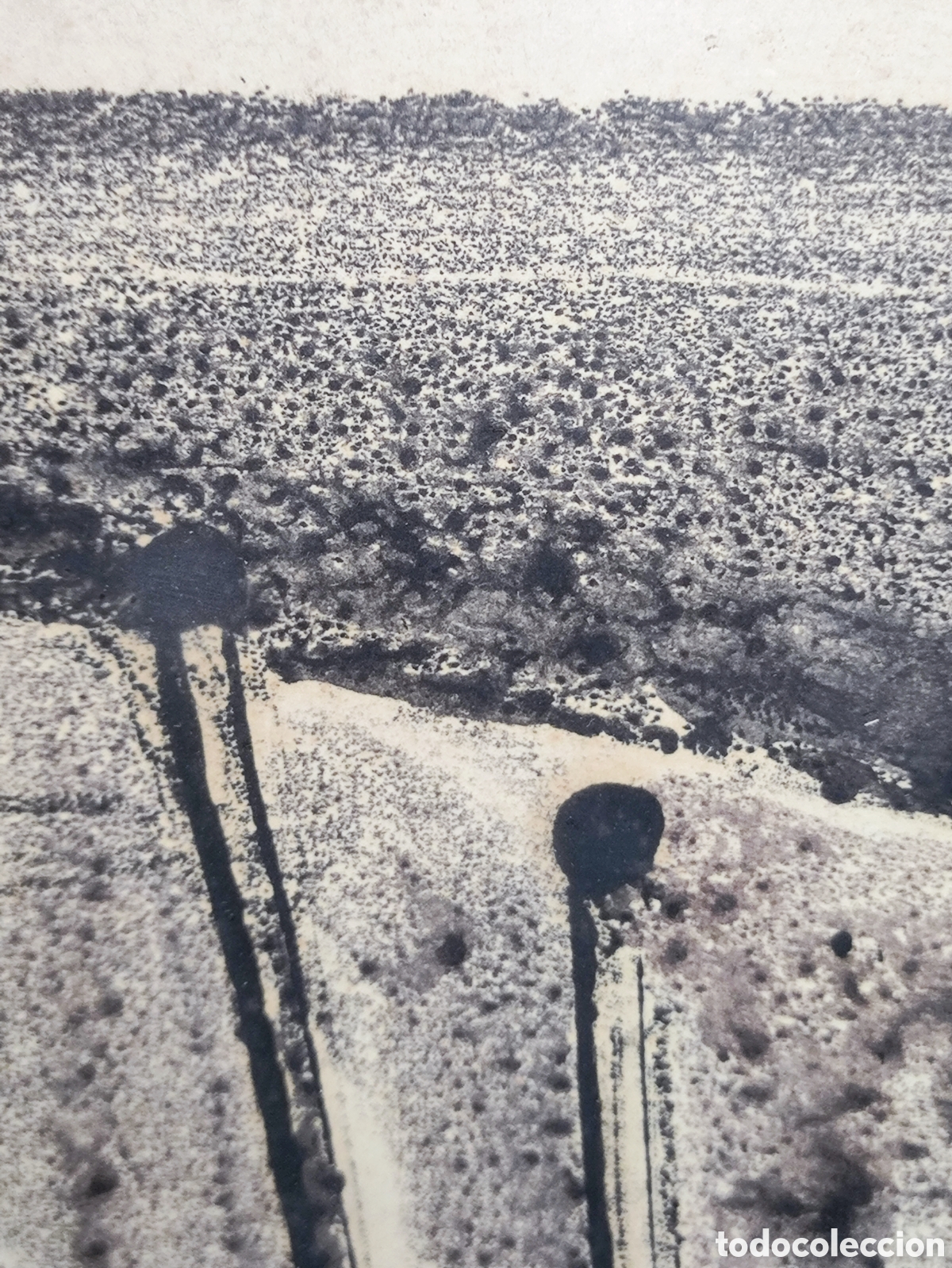 Arte: LAPAYESE DEL RIO, Ram&oacute;n. SERIGRAF&Iacute;A DEDICADA. - Foto 7