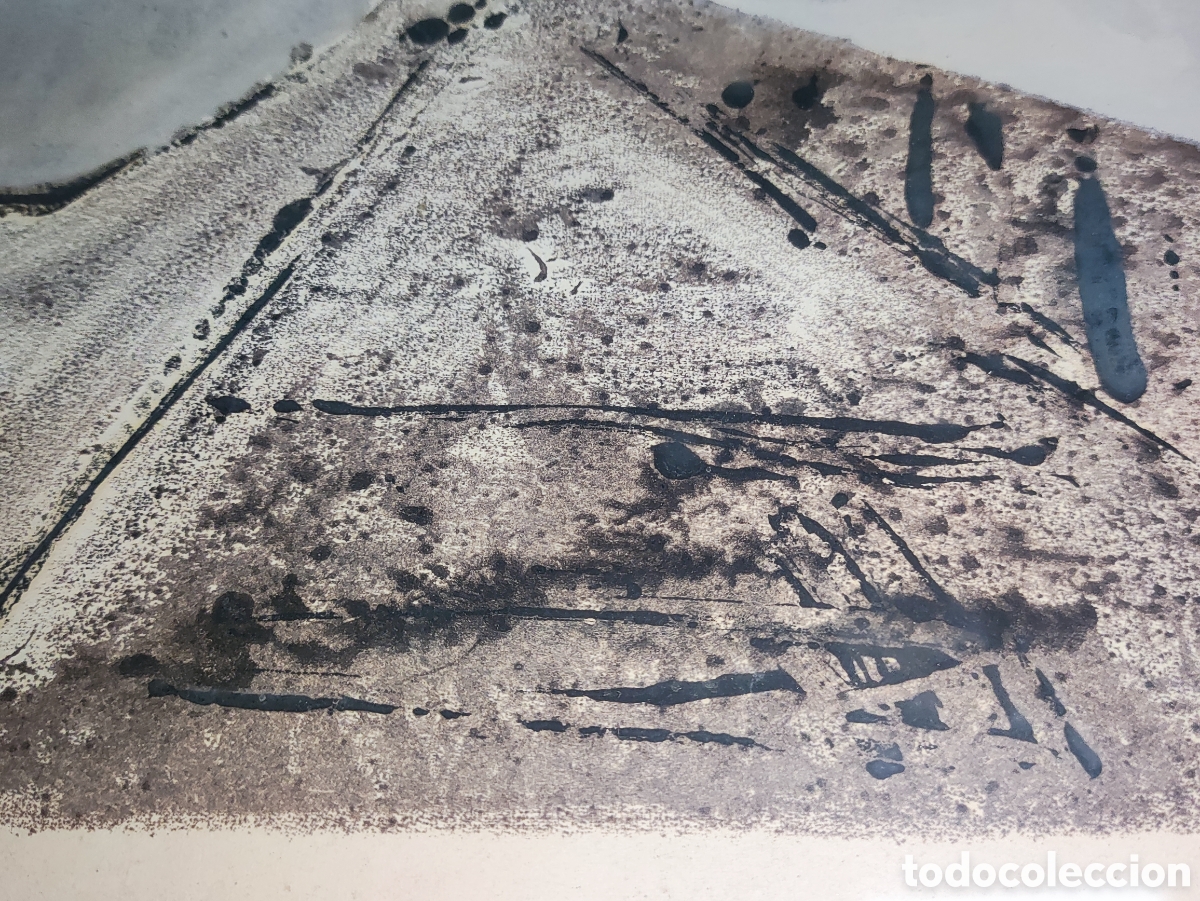 Arte: LAPAYESE DEL RIO, Ram&oacute;n. SERIGRAF&Iacute;A DEDICADA. - Foto 8
