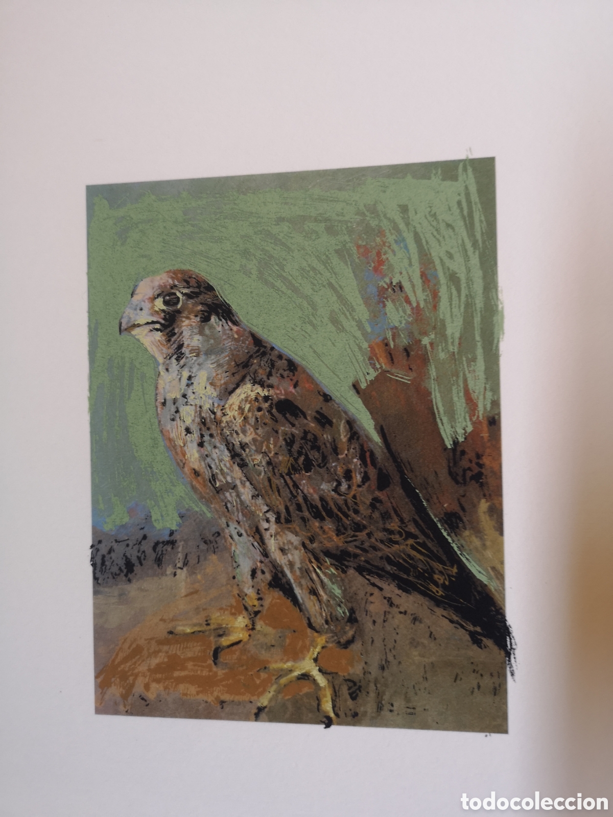 Arte: Serigraf&iacute;a de caza de un Halc&oacute;n - Foto 1