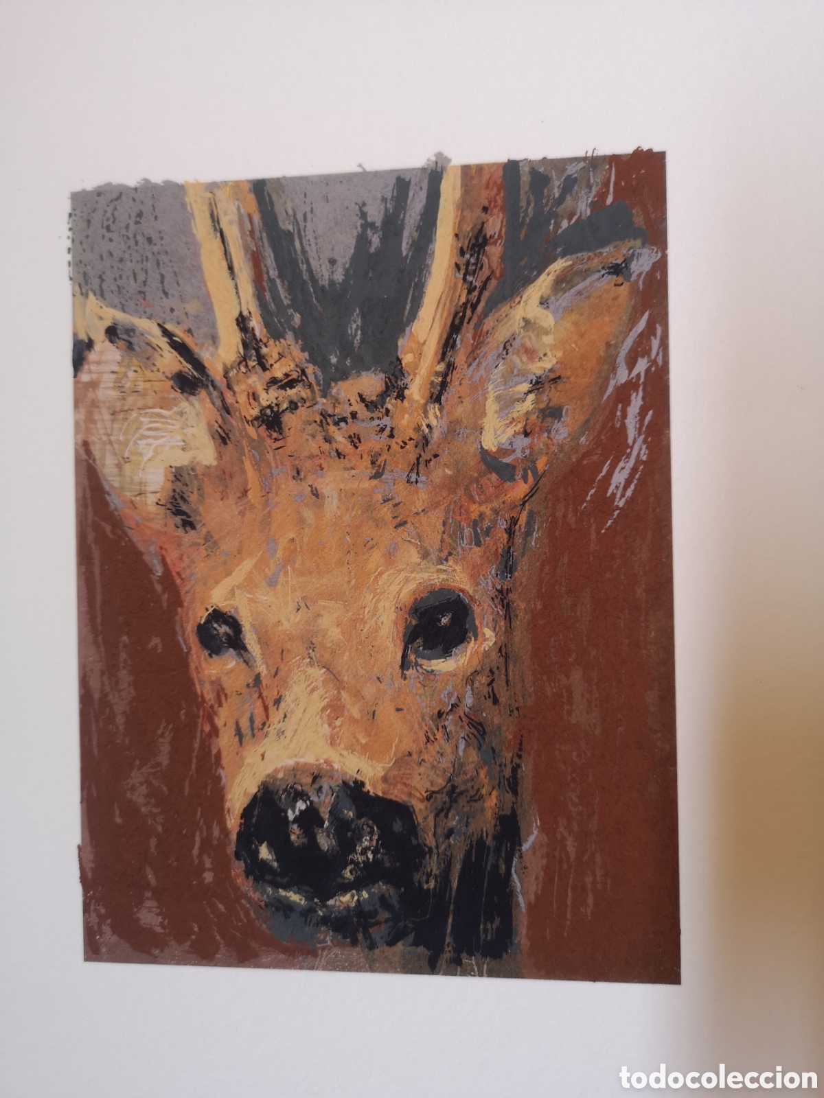 Arte: Serigraf&iacute;a de caza de un Corzo - Foto 1