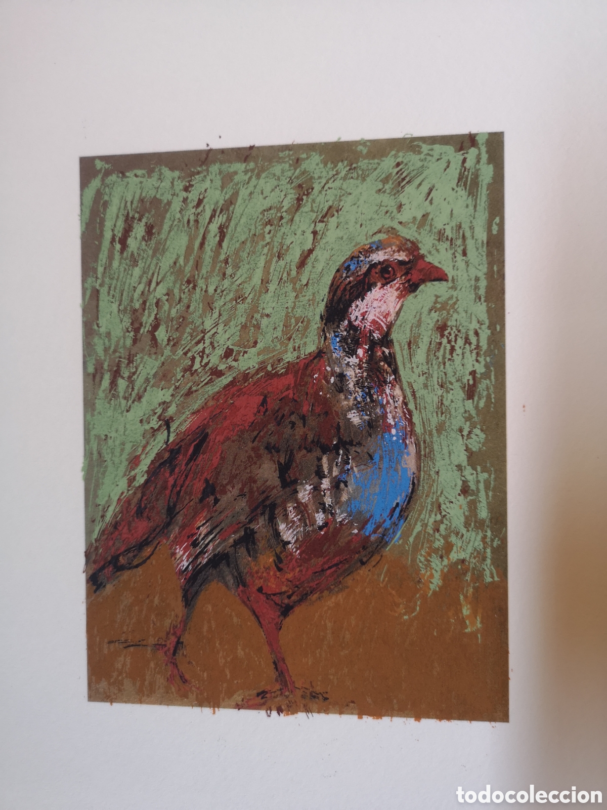 Arte: Serigraf&iacute;a de caza: Perdiz - Foto 1