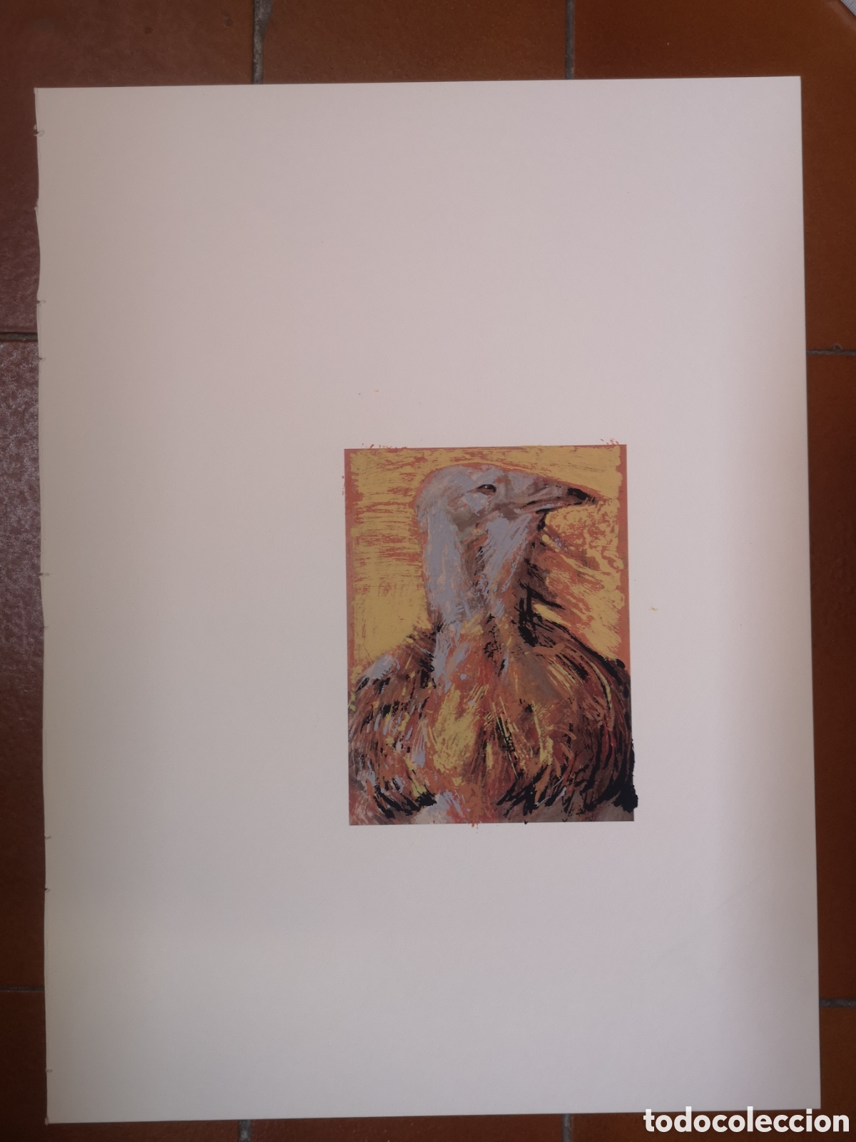 Arte: Serigraf&iacute;a de caza de una Abutarda - Foto 2