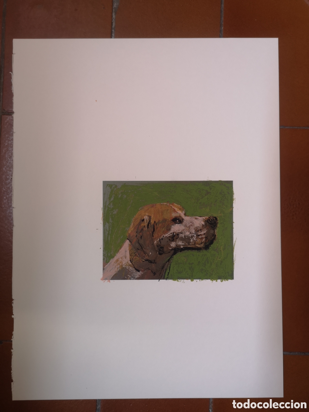 Arte: Serigraf&iacute;a de caza de un Perro - Foto 2