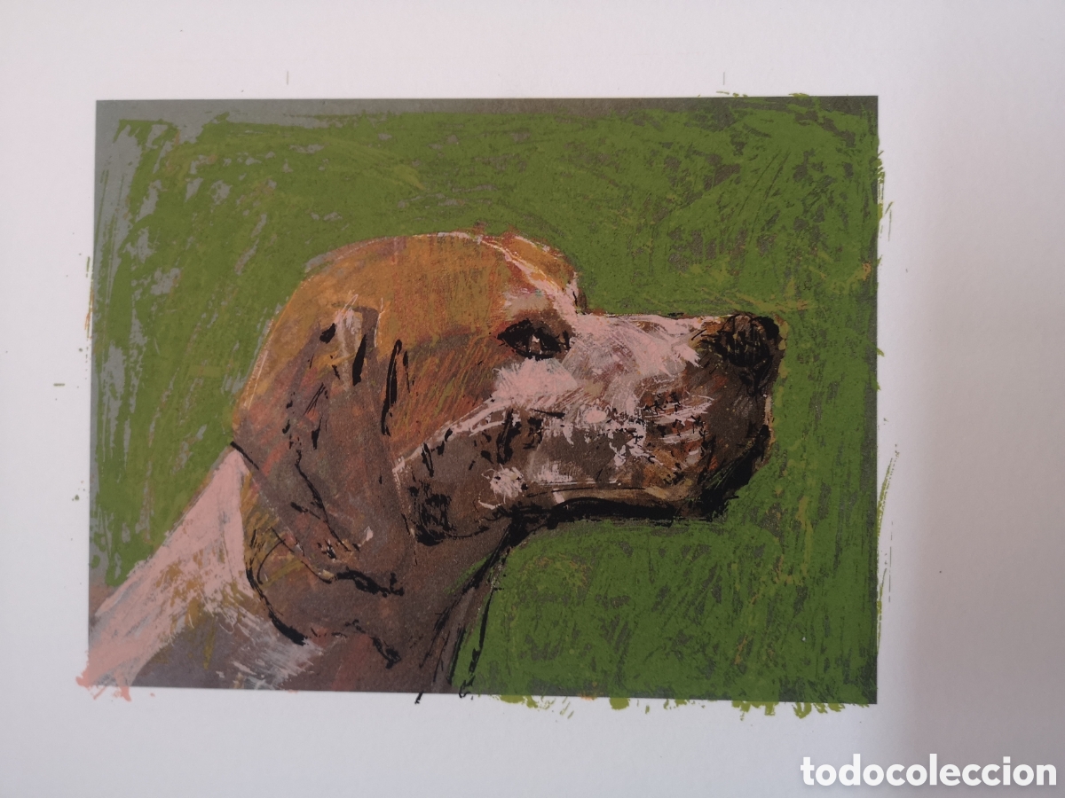 Arte: Serigraf&iacute;a de caza de un Perro - Foto 1