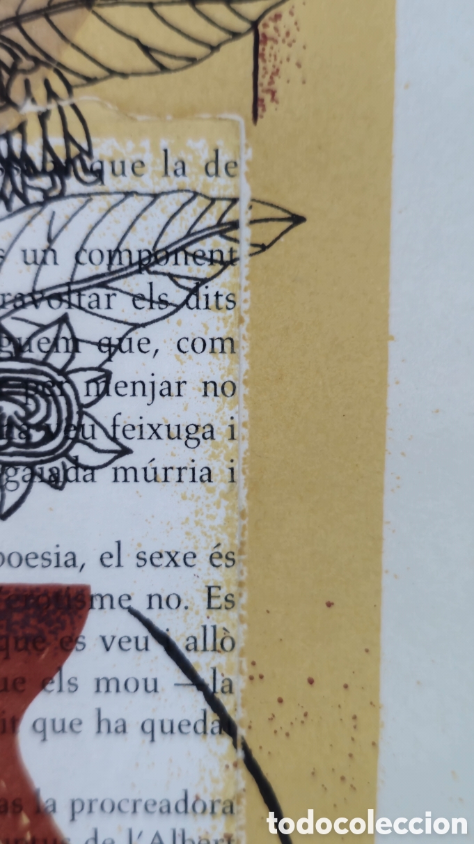 Arte: Serigrafia de Quim Domene - Foto 8