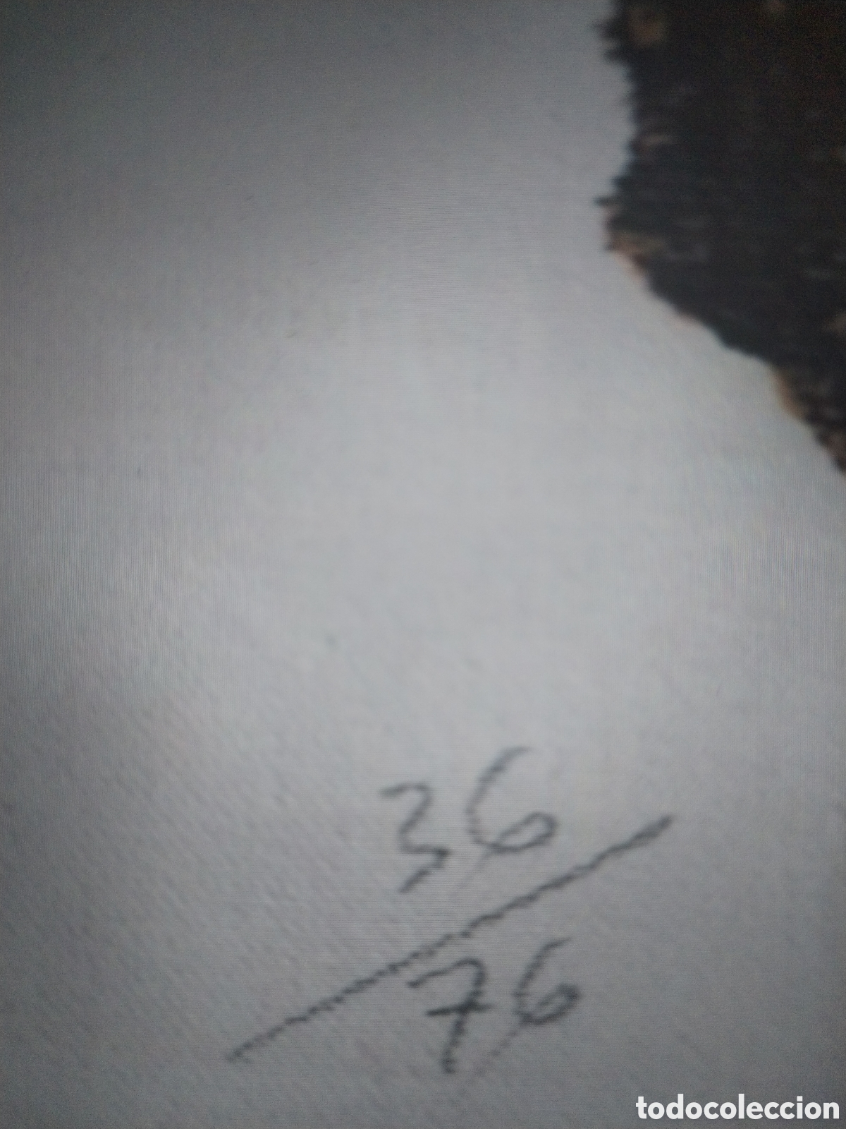 Arte: Fosil, 1997 - Foto 3