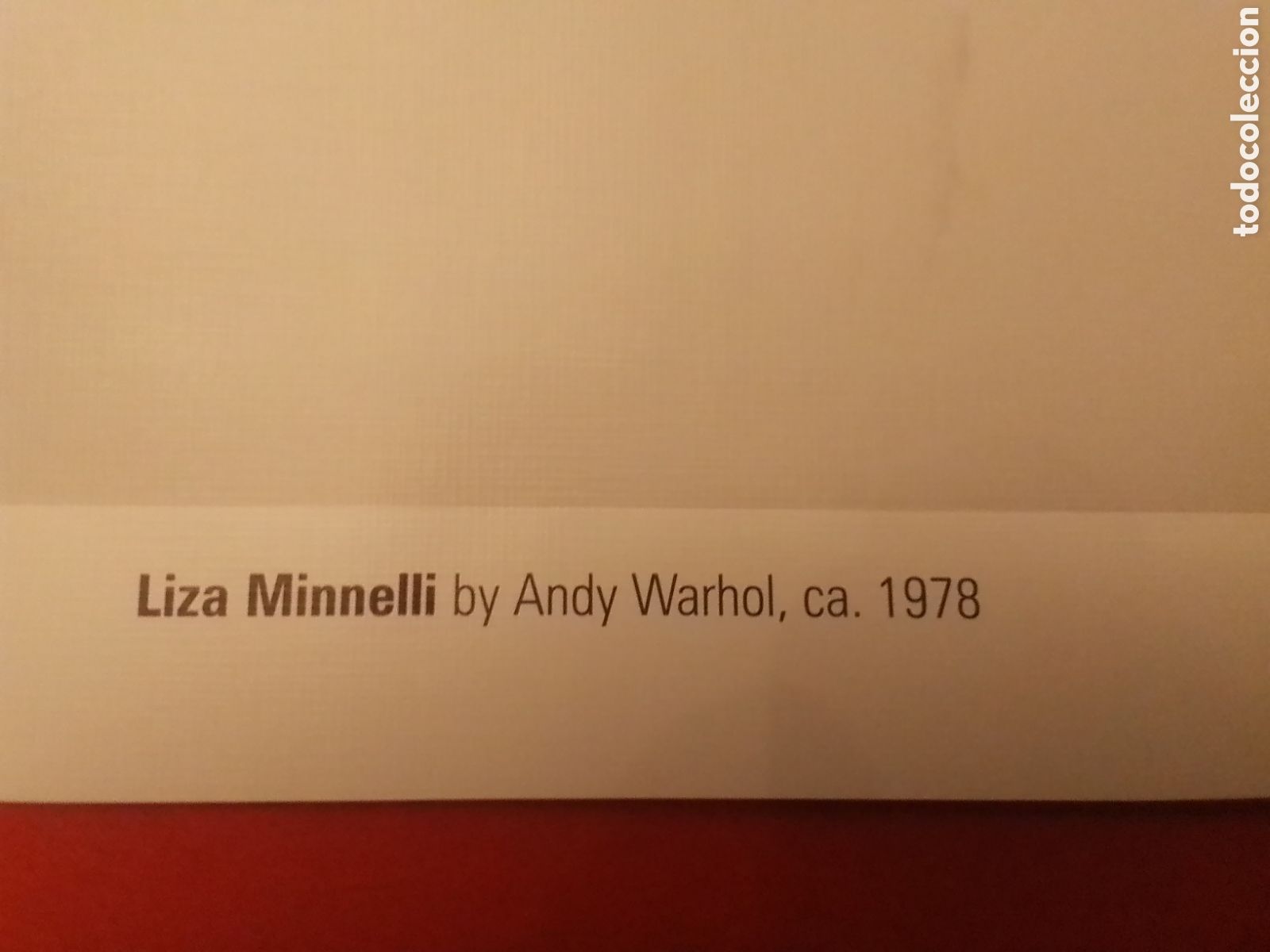 Arte: &rdquo; LIZA MINELLI &rdquo; de Andy Warhol &rdquo; - Foto 2