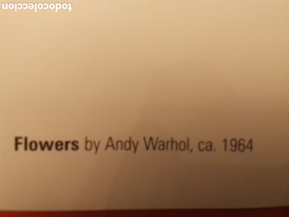 Arte: FLOWERS de Andy Warhol - Foto 2