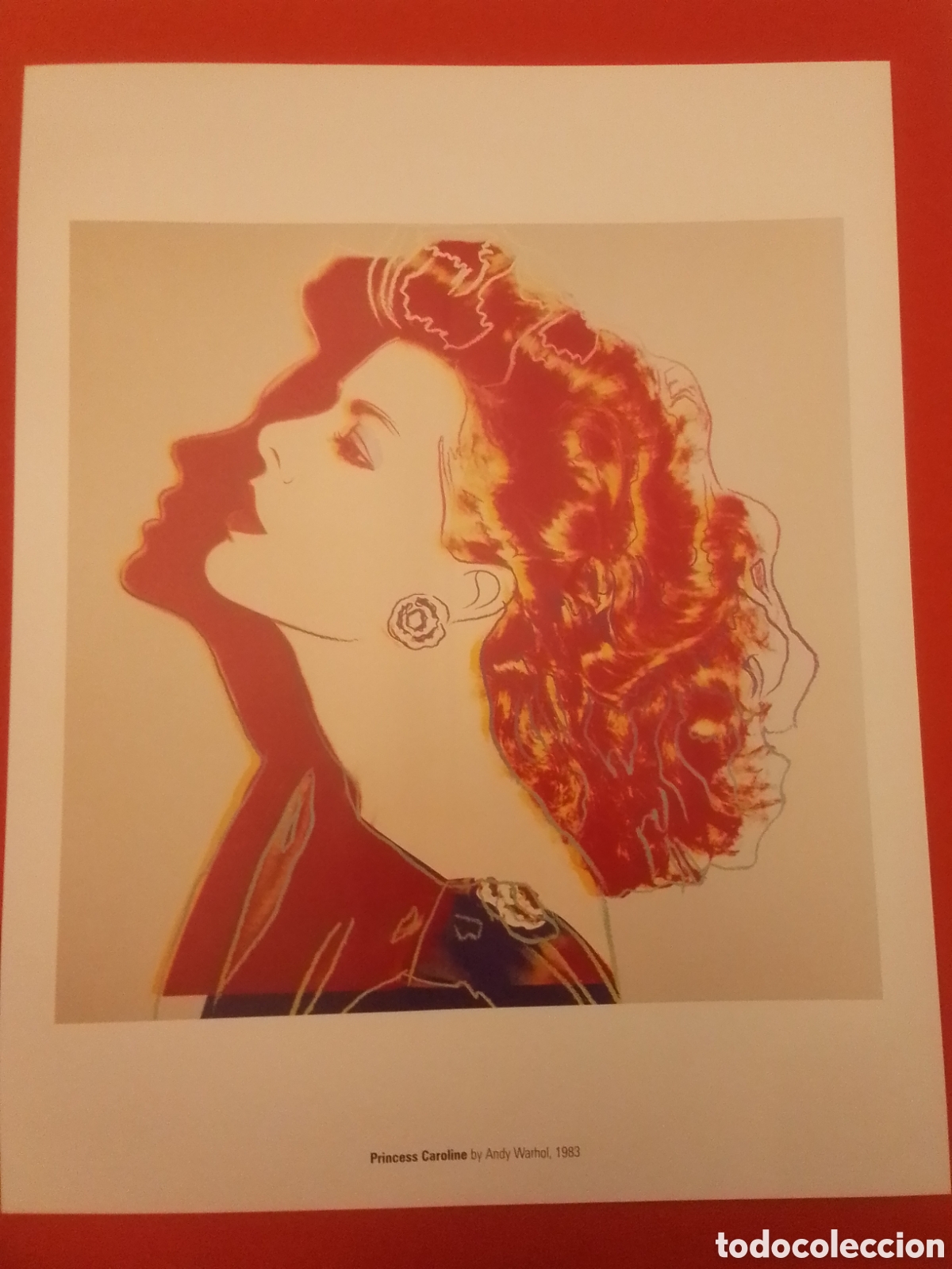 Arte: &rdquo;Princesa Caroline&rdquo; de Andy Warhol - Foto 1