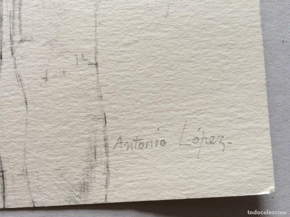 Arte: ANTONIO L&Oacute;PEZ. F&aacute;bula - Foto 3
