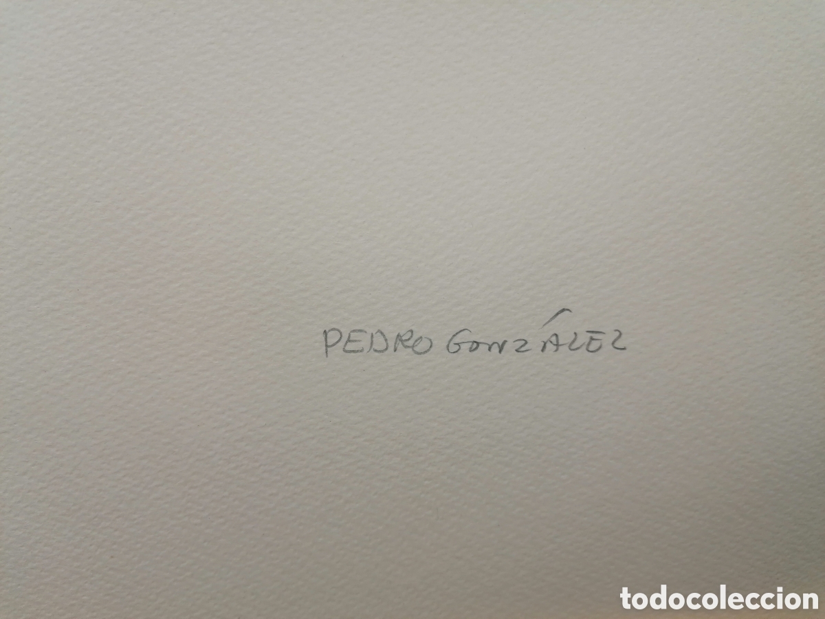 Arte: ---- PEDRO GONZ&Aacute;LEZ - - - - - Foto 3