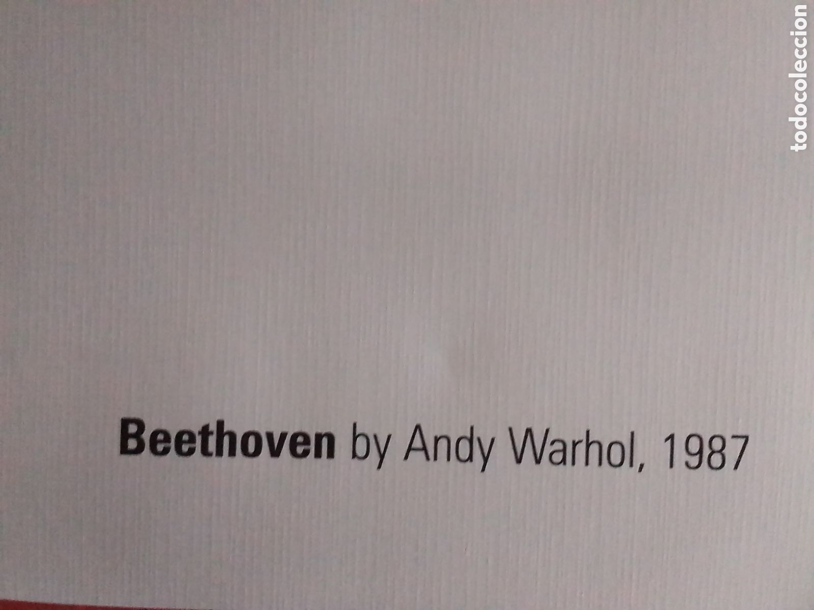 Arte: BEETHOVEN de Andy Warhol - Foto 2