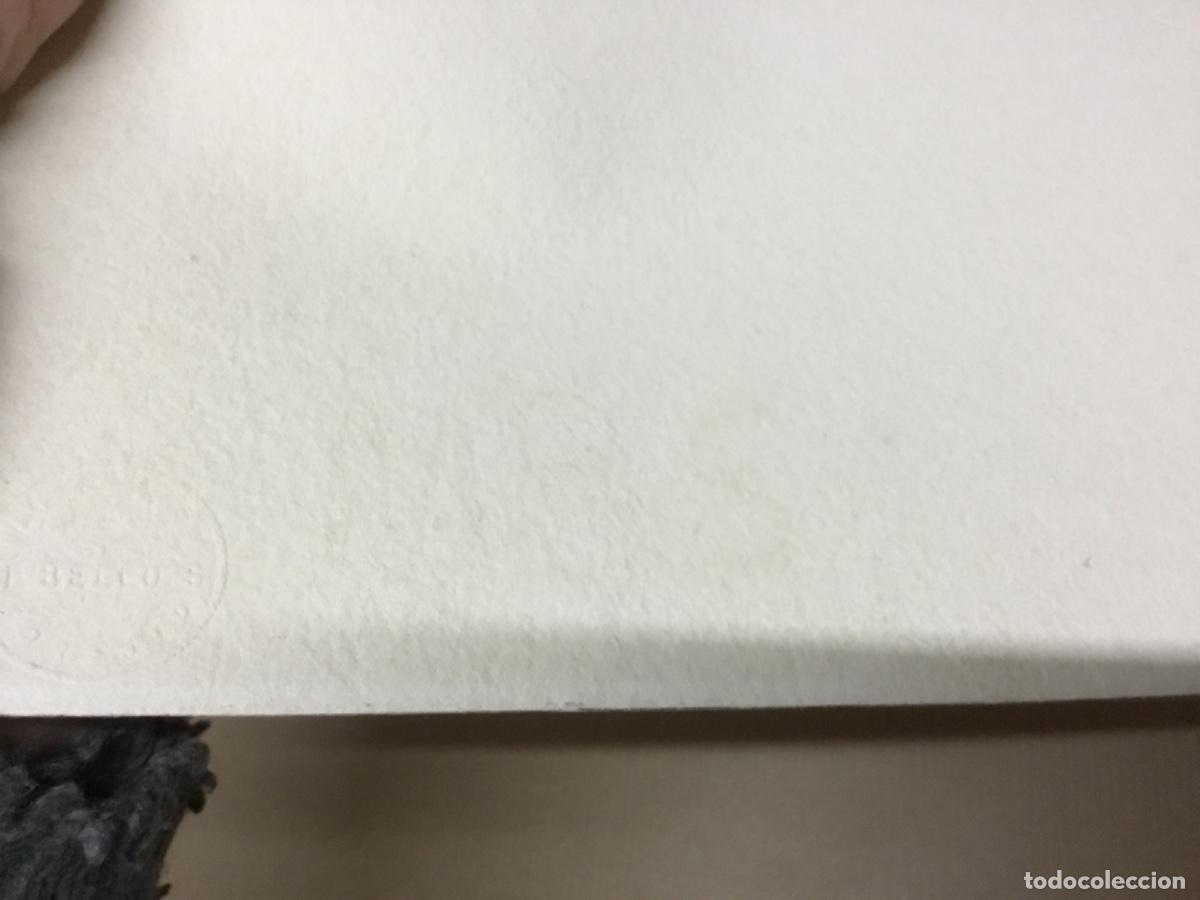 Arte: Serigraf&iacute;a numerada y firmada - Foto 10