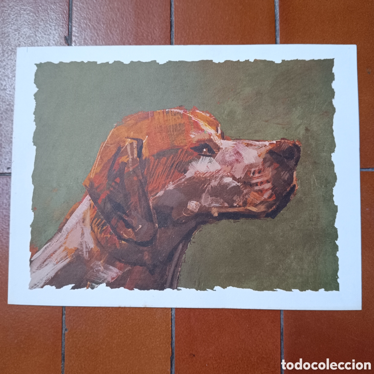 Arte: L&aacute;mina de un perro de caza - Foto 2