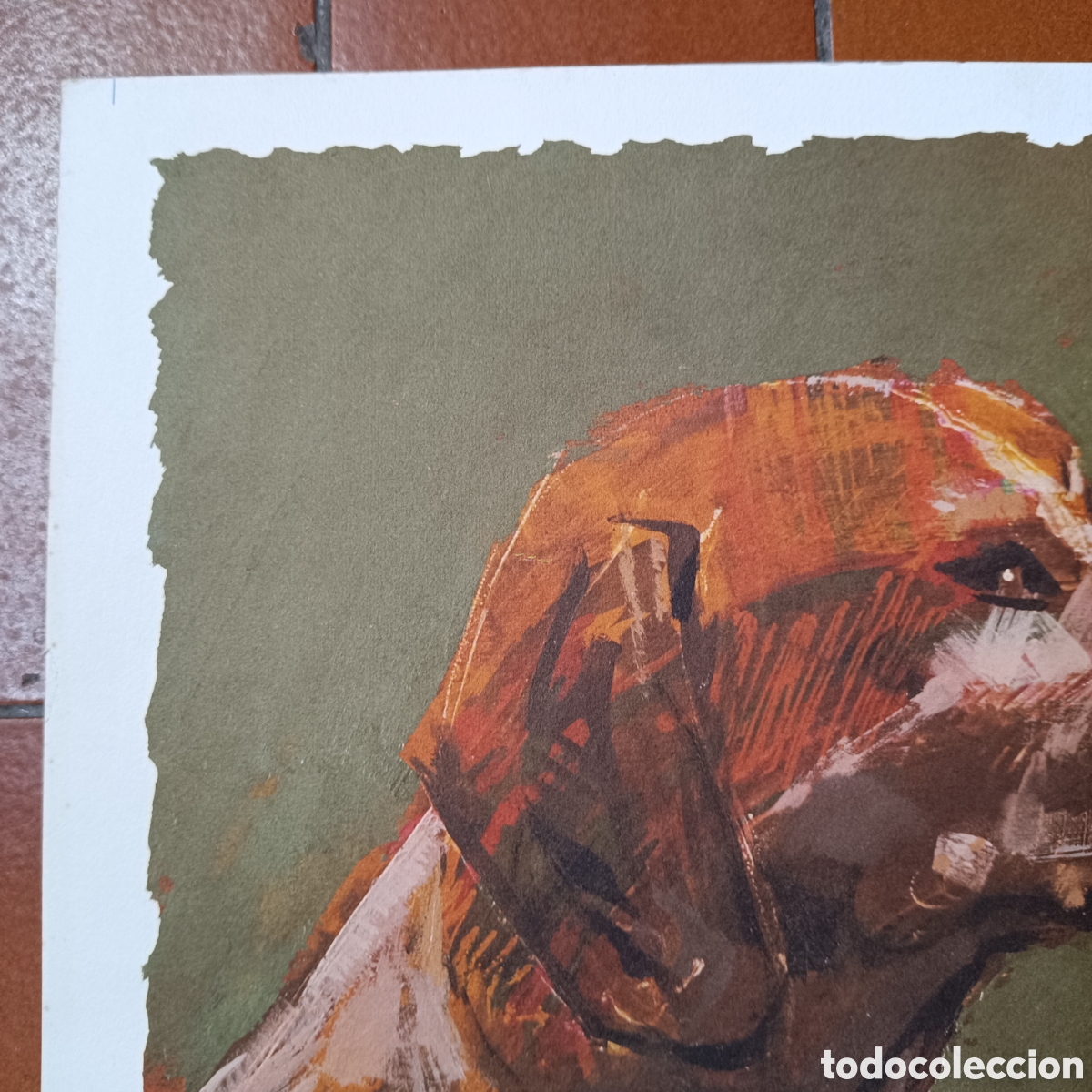 Arte: L&aacute;mina de un perro de caza - Foto 4