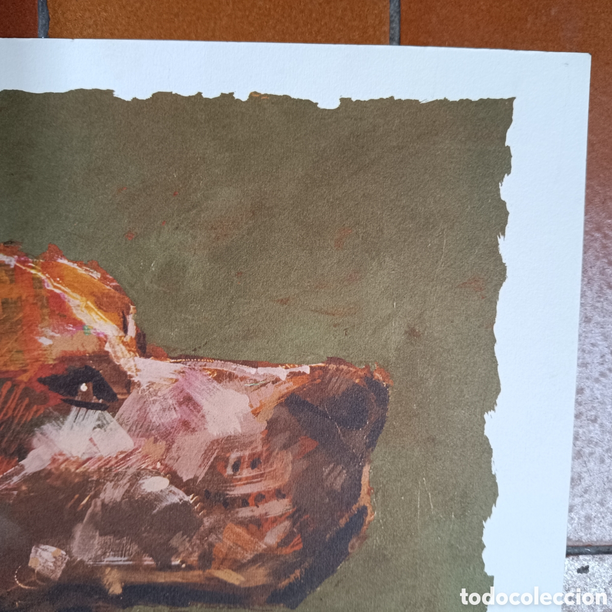 Arte: L&aacute;mina de un perro de caza - Foto 5