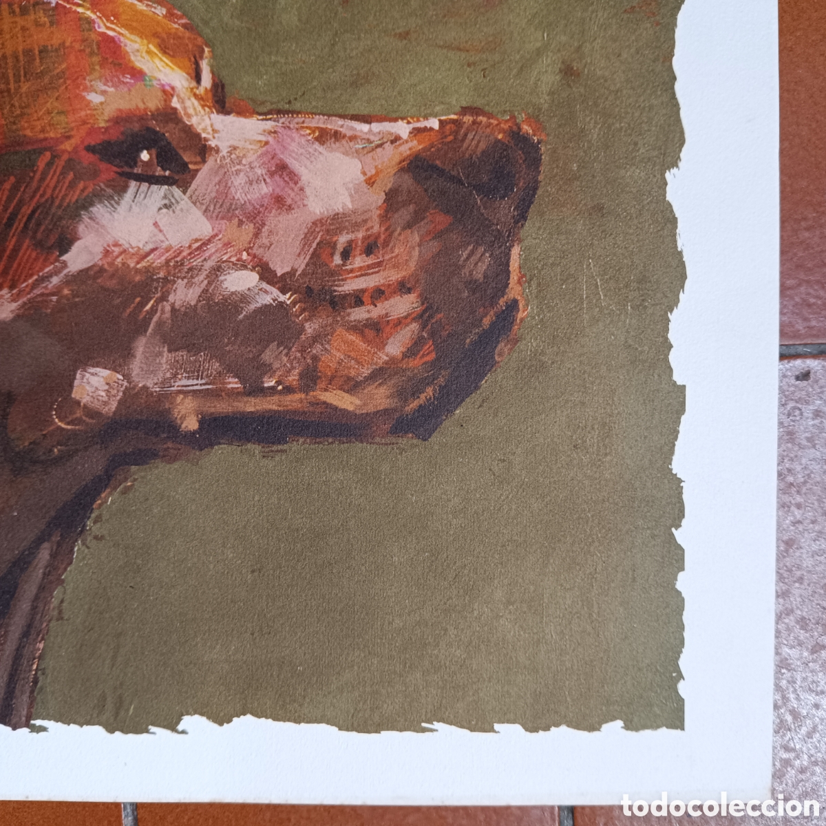Arte: L&aacute;mina de un perro de caza - Foto 6