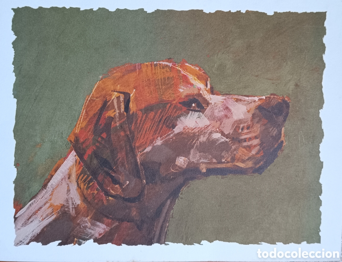 Arte: L&aacute;mina de un perro de caza - Foto 1