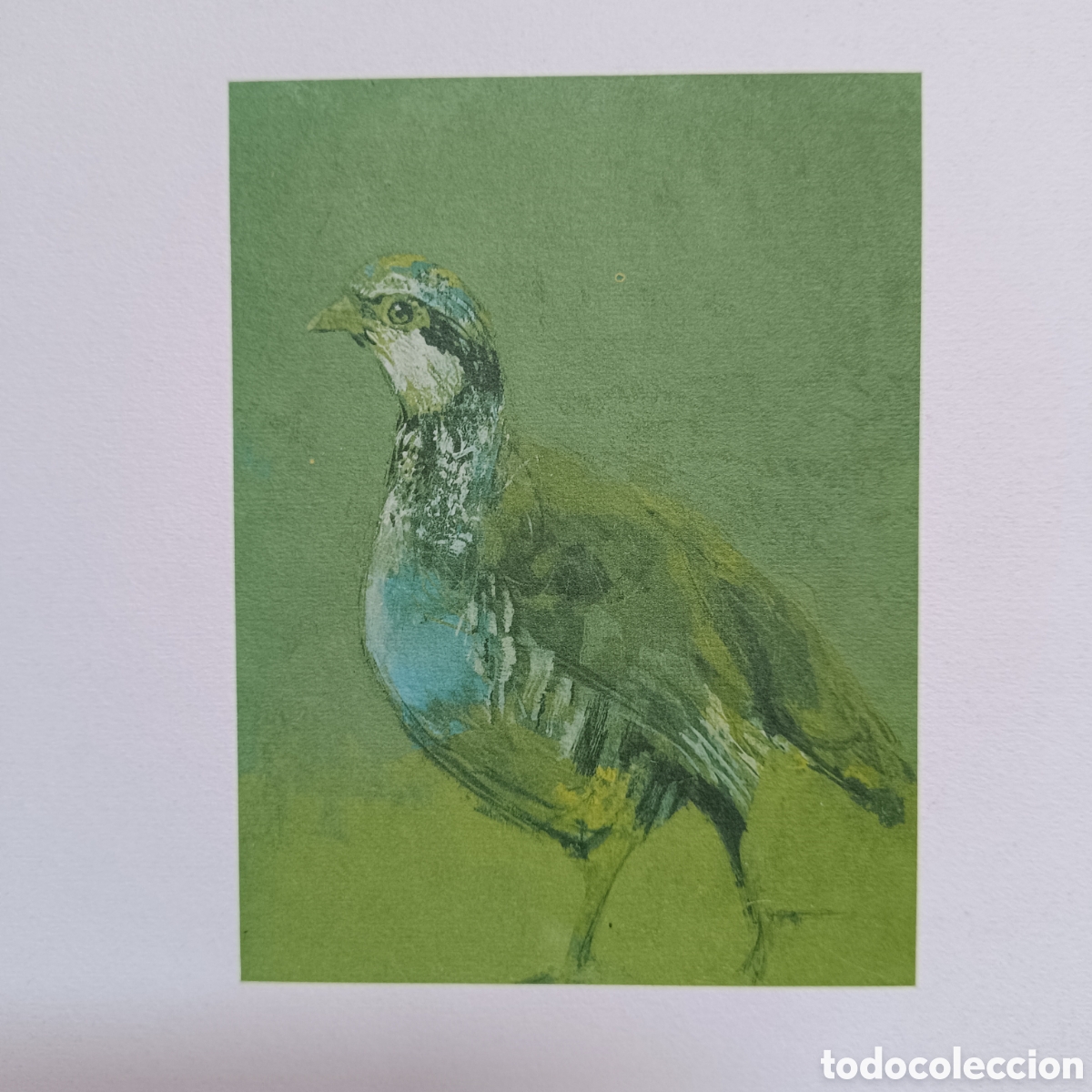 Arte: Serigraf&iacute;a de caza de una Perdiz - Foto 1