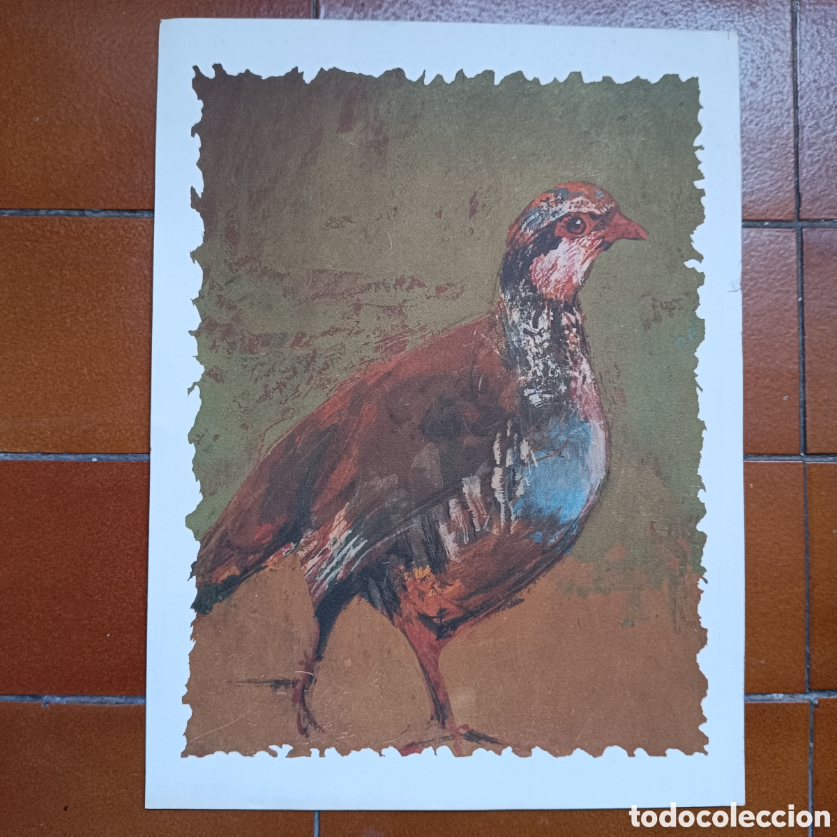 Arte: L&aacute;mina de caza de una perdiz - Foto 2