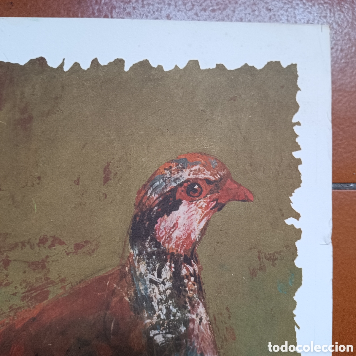 Arte: L&aacute;mina de caza de una perdiz - Foto 5