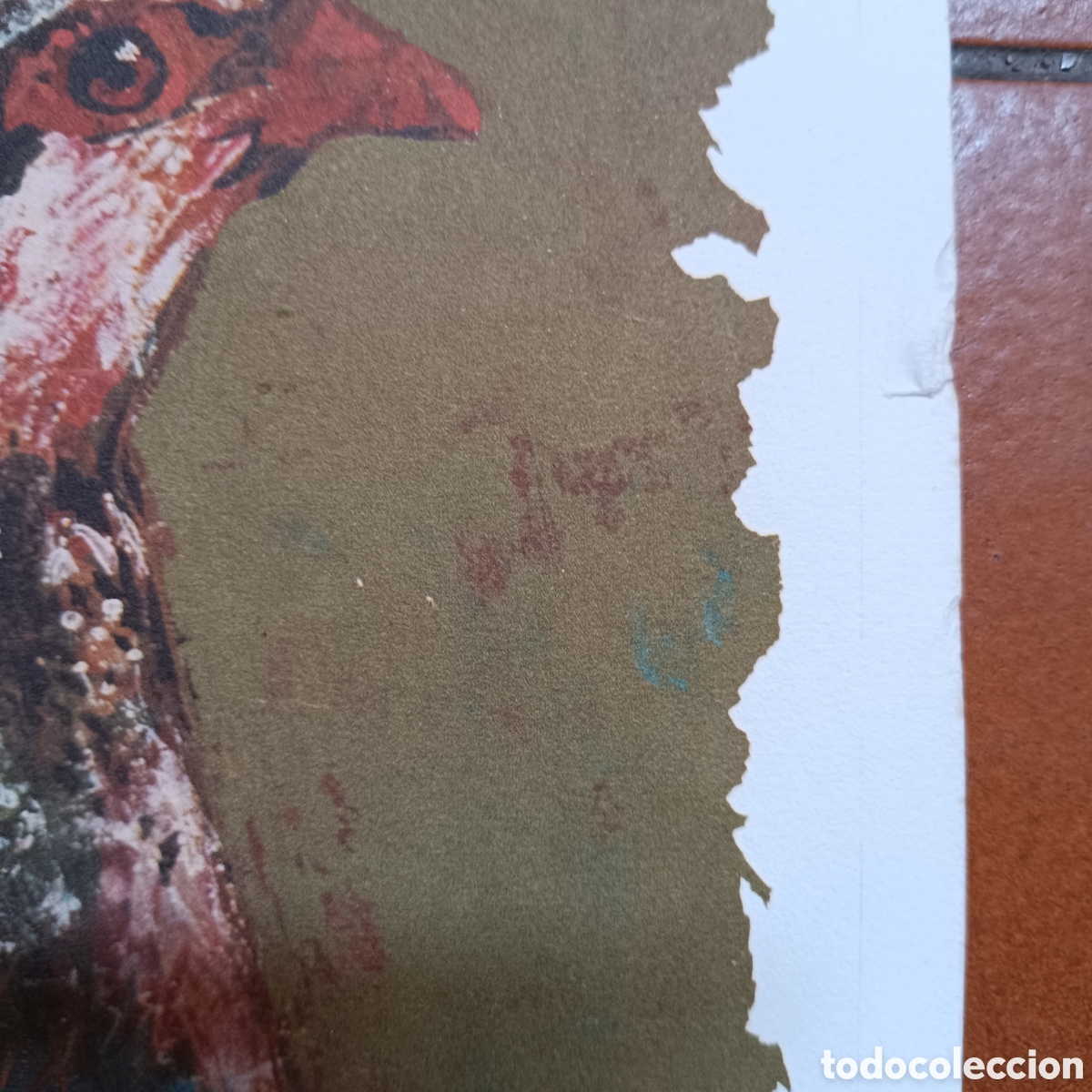 Arte: L&aacute;mina de caza de una perdiz - Foto 4