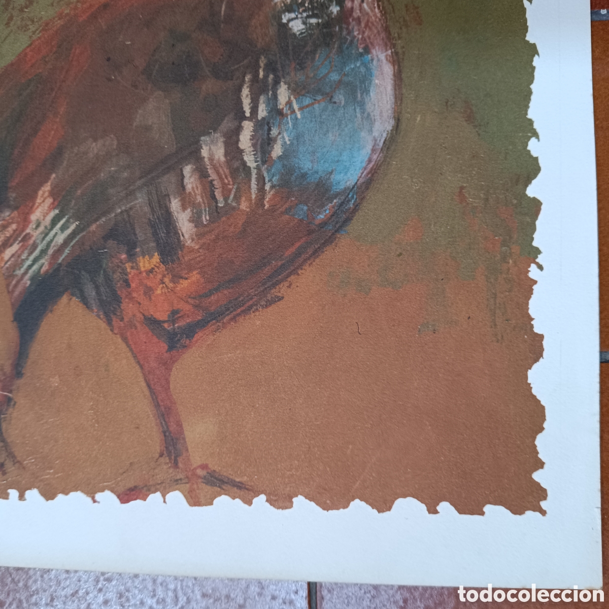 Arte: L&aacute;mina de caza de una perdiz - Foto 6